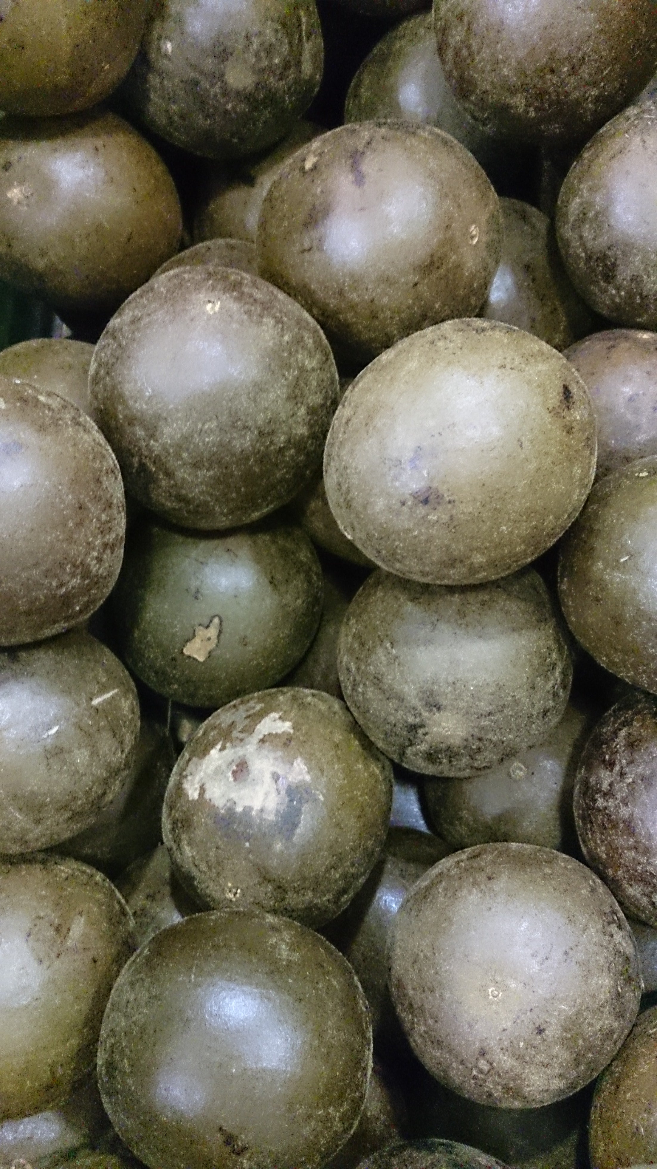 Fresh monk fruit (luo han guo)