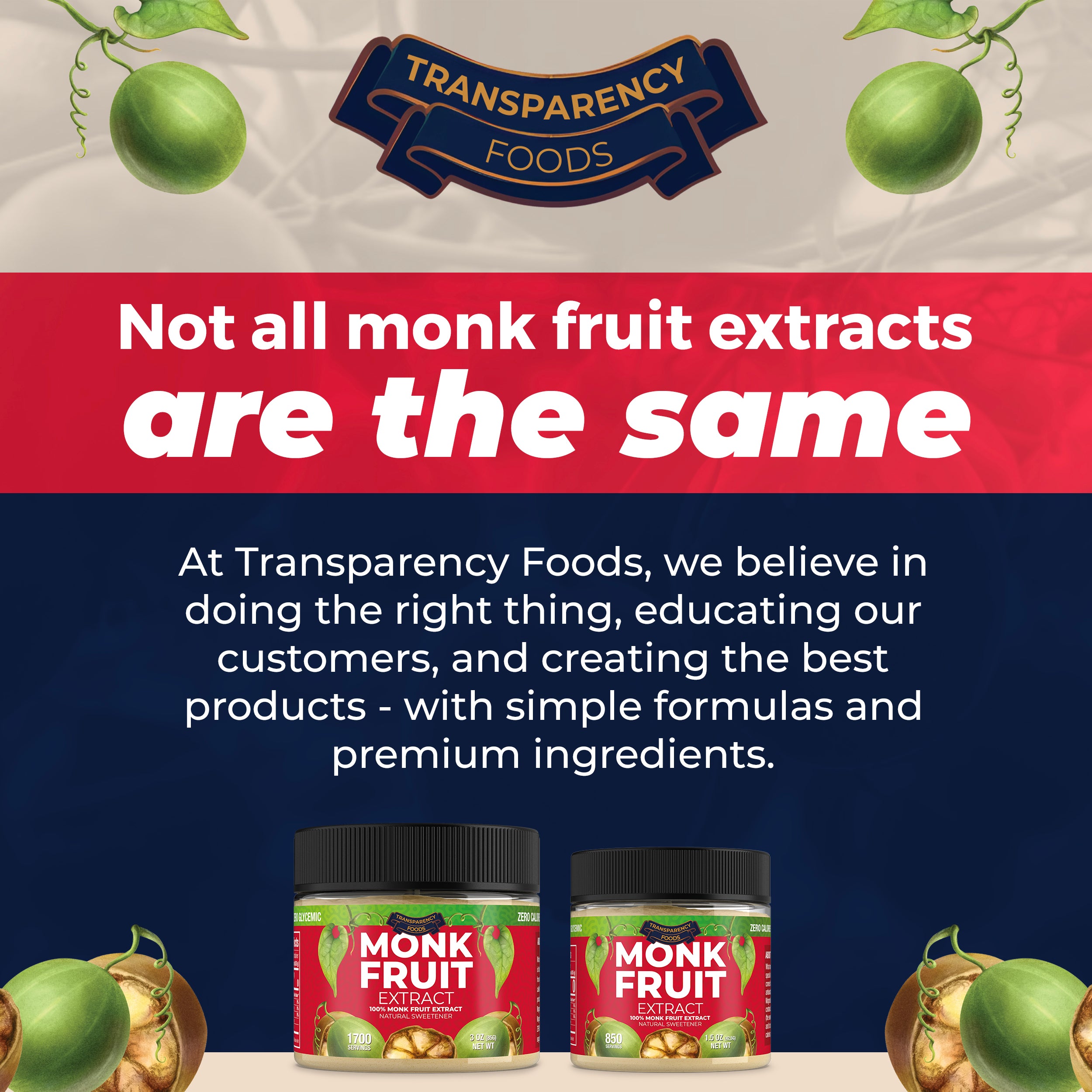 Monk Fruit Extract Powder - 90X Sweeter Than Sugar - 25% Mogroside V (Bulk)